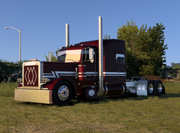 PM389 APEX PAINT