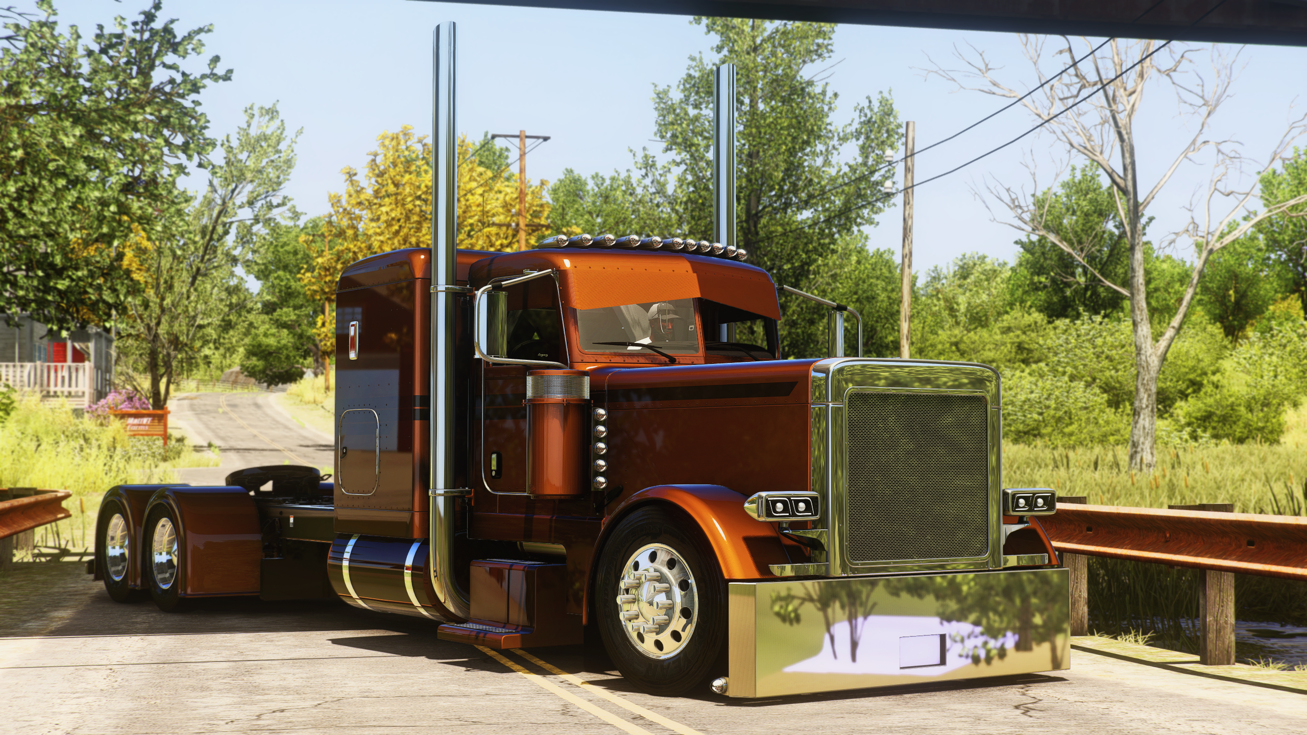 PM389 CopperHead Paint