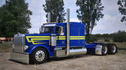 Rollin389 DSD Replica Paint