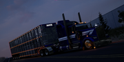 TNT Gridlock Paint