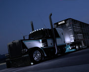 PM389 BullBuggy Paint
